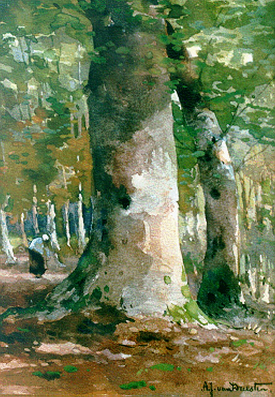 Driesten A.J. van | Arend Jan van Driesten, A forest landscape, watercolour and gouache on paper 19.1 x 13.6 cm, signed l.r.