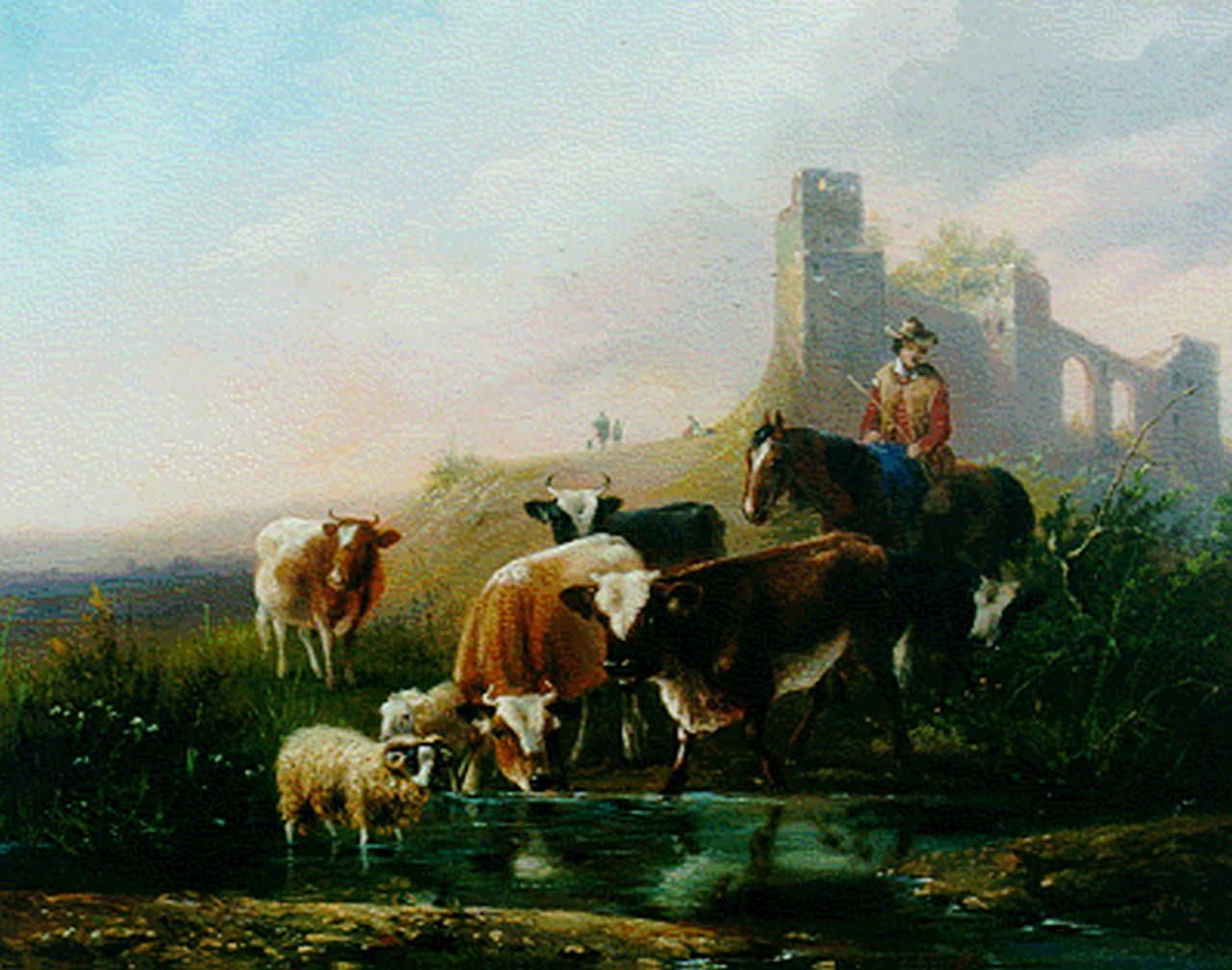 Knip A.  | Augustus 'August' Knip, Cows and sheep by a stream, oil on panel 21.3 x 26.8 cm, signed l.r.
