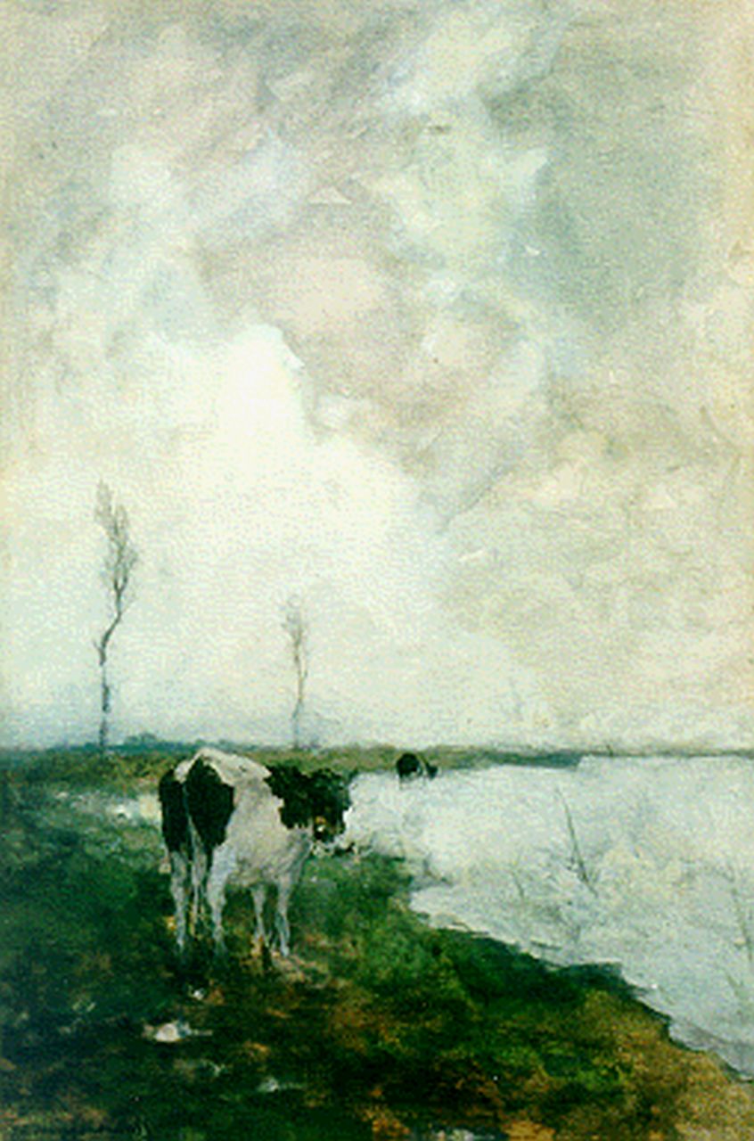 Weissenbruch H.J.  | Hendrik Johannes 'J.H.' Weissenbruch, A cow in a polder landscape, watercolour on painter's board 44.0 x 29.5 cm, signed l.l.