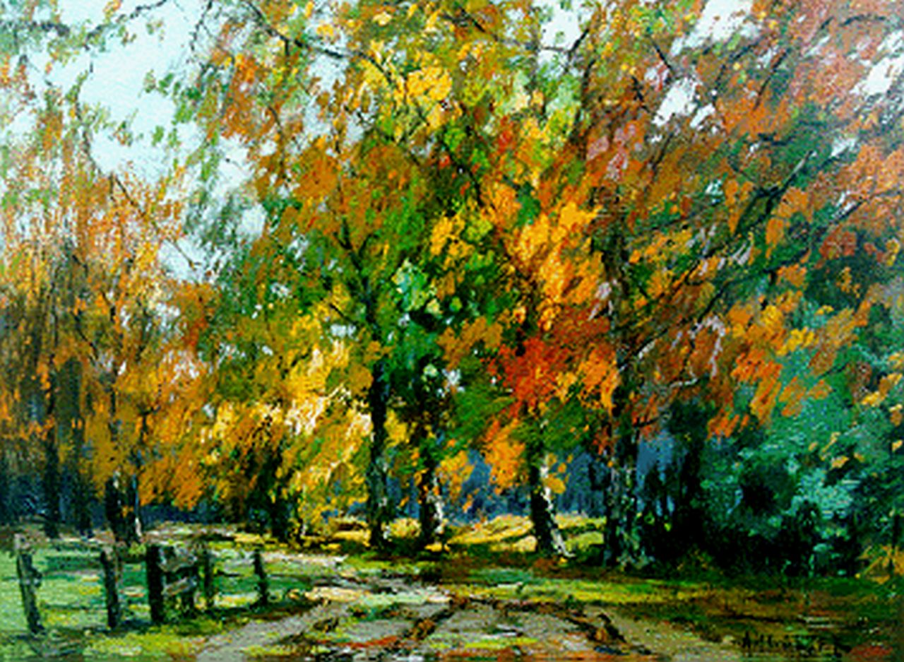 Gorter A.M.  | 'Arnold' Marc Gorter, Forest landscape, oil on canvas 26.7 x 36.1 cm, signed l.r.