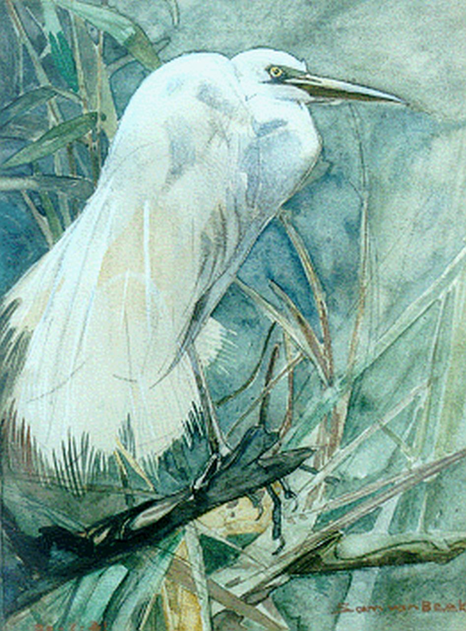 Beek S.J. van | Samuel Joseph 'Sam' van Beek, A white heron, watercolour on board 33.0 x 25.5 cm, signed l.r.