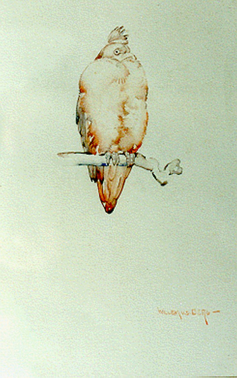 Berg W.H. van den | 'Willem' Hendrik van den Berg, A pigeon, watercolour on paper 22.5 x 15.0 cm, signed l.r.