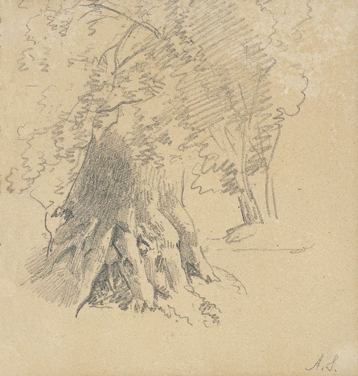 Schelfhout A.  | Andreas Schelfhout, A study of a tree, pencil on paper 17.9 x 17.4 cm, signed l.r. with initials