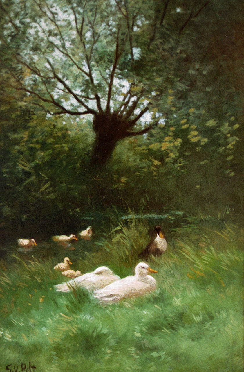 Pelt G.T.M. van | Godefridus Theodorus Maria 'Gottfried' van Pelt, Ducks on the riverbank, oil on canvas 42.0 x 27.0 cm, signed l.l.