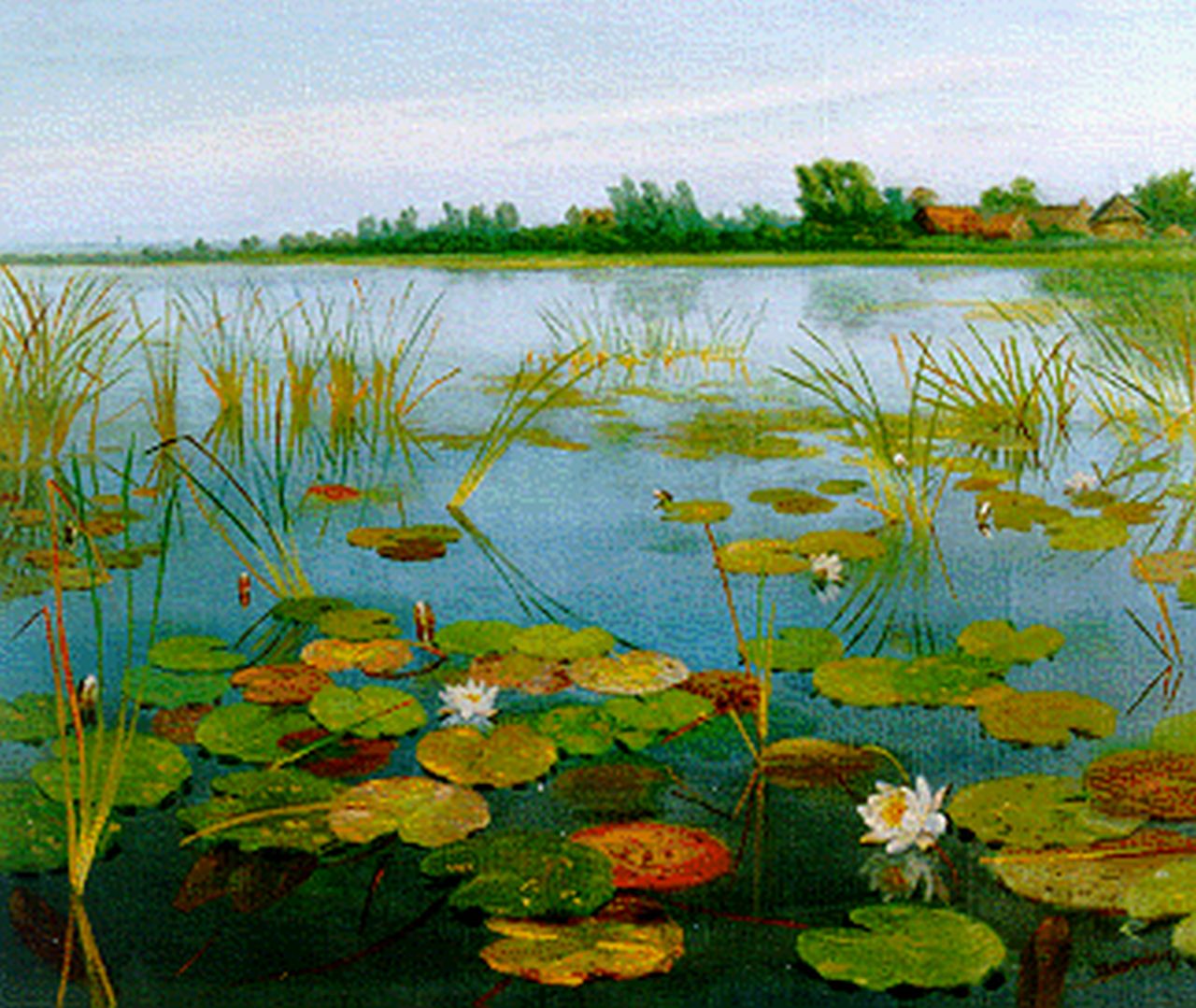 Smorenberg D.  | Dirk Smorenberg, Water lilies, oil on canvas 50.2 x 60.3 cm, signed l.r.