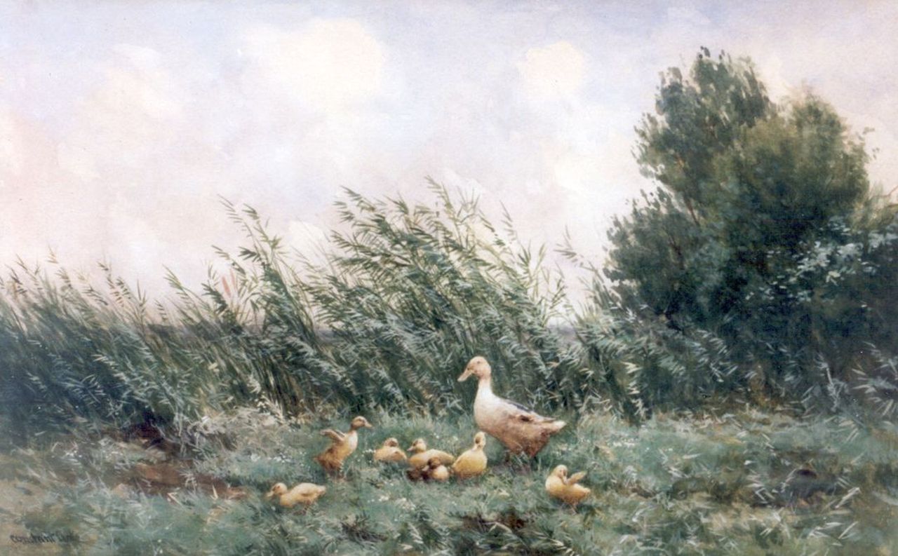 Artz C.D.L.  | 'Constant' David Ludovic Artz, A duck family on the riverbank, watercolour on paper 33.5 x 53.5 cm, signed l.l.