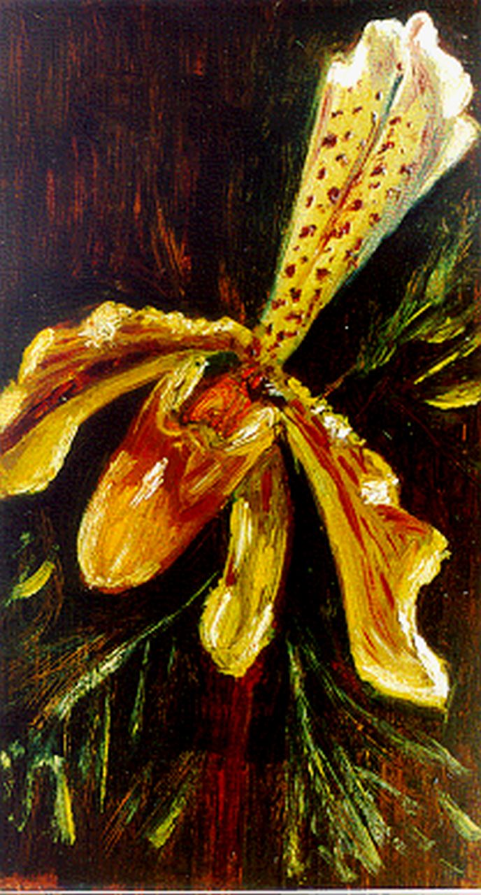 Maris M.  | Mies Maris, Orchids, oil on paper laid down on painter's board 22.0 x 12.6 cm