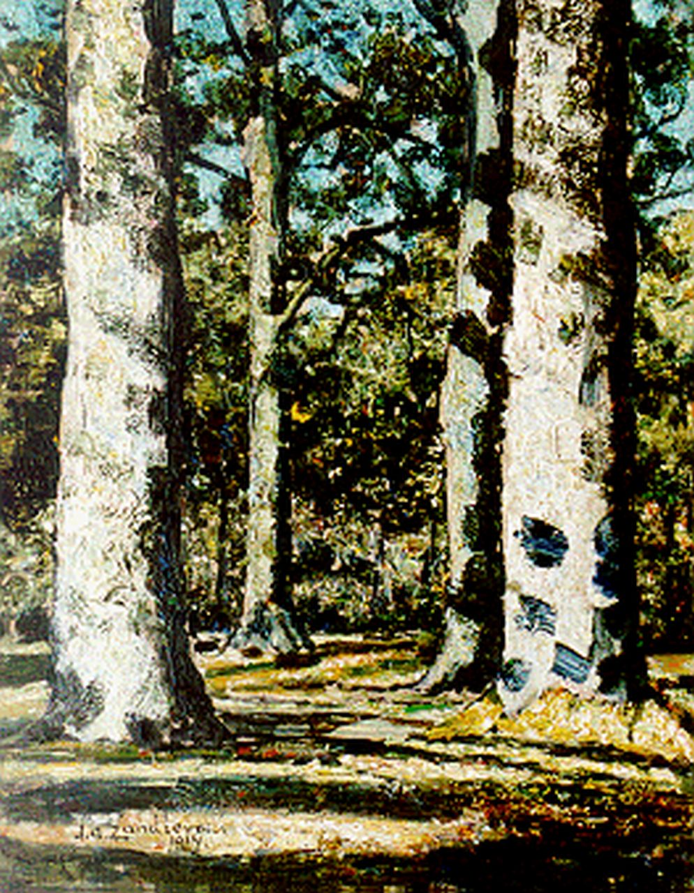 Zandleven J.A.  | Jan Adam Zandleven, A sunlit wooded landscape, oil on canvas laid down on painter's board 41.0 x 32.0 cm, signed l.l. and dated 1914