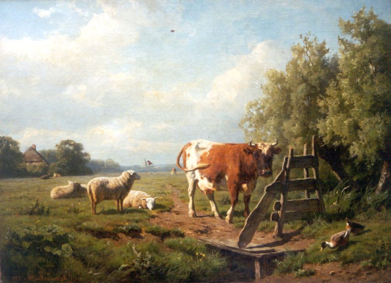 Tjarda van Starckenborgh Stachouwer W.  | jhr. Willem Tjarda van Starckenborgh Stachouwer, Cattle in a meadow, oil on canvas 50.8 x 69.9 cm, signed l.l.