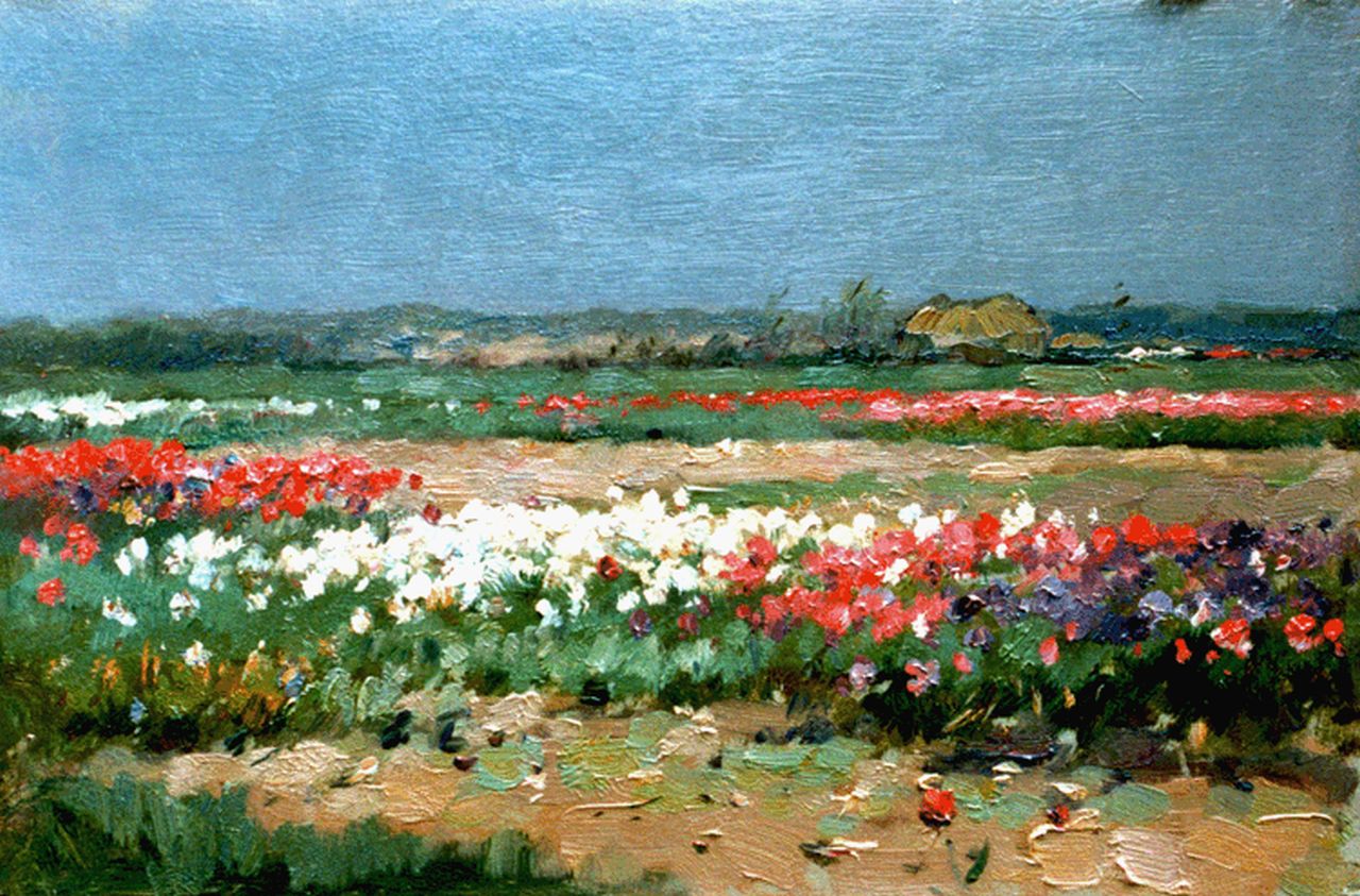 Knikker A.  | Aris Knikker, Bulb field, oil on panel 23.1 x 34.9 cm