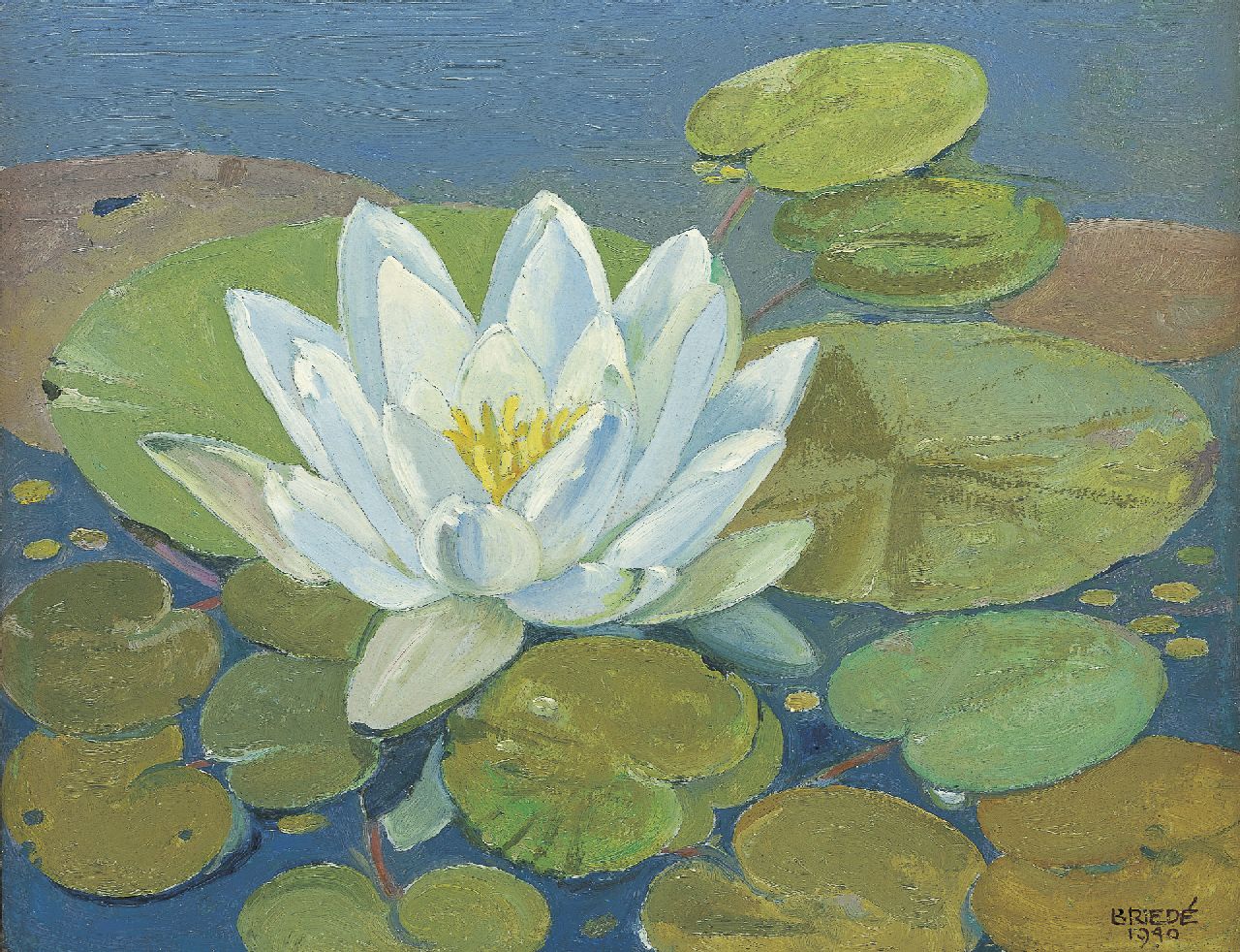 Briedé J.  | Johan Briedé, Water lily, 20.9 x 26.9 cm, signed l.r. and dated 1940