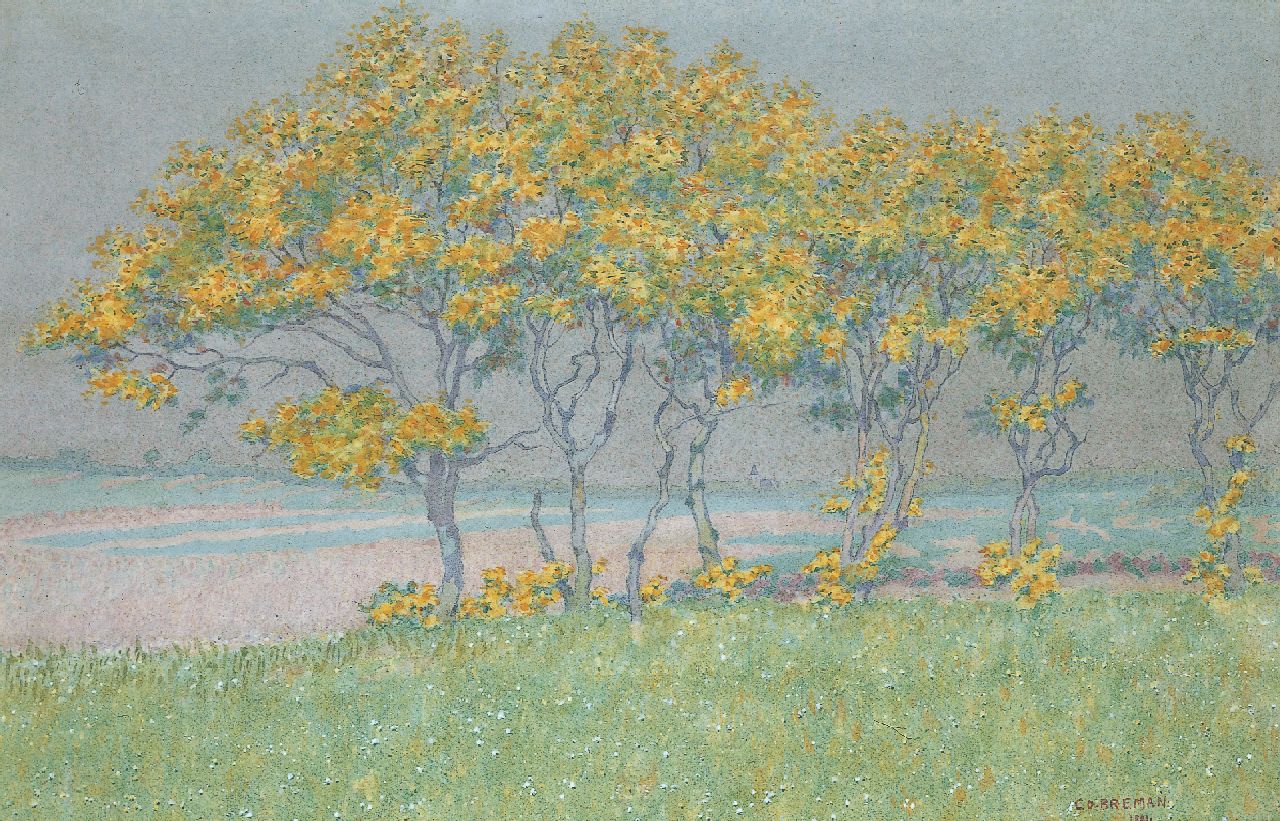 Breman A.J.  | Ahazueros Jacobus 'Co' Breman, Flowering Trees by Blaricum, watercolour on paper 46.0 x 70.0 cm, signed l.r. and dated 1901