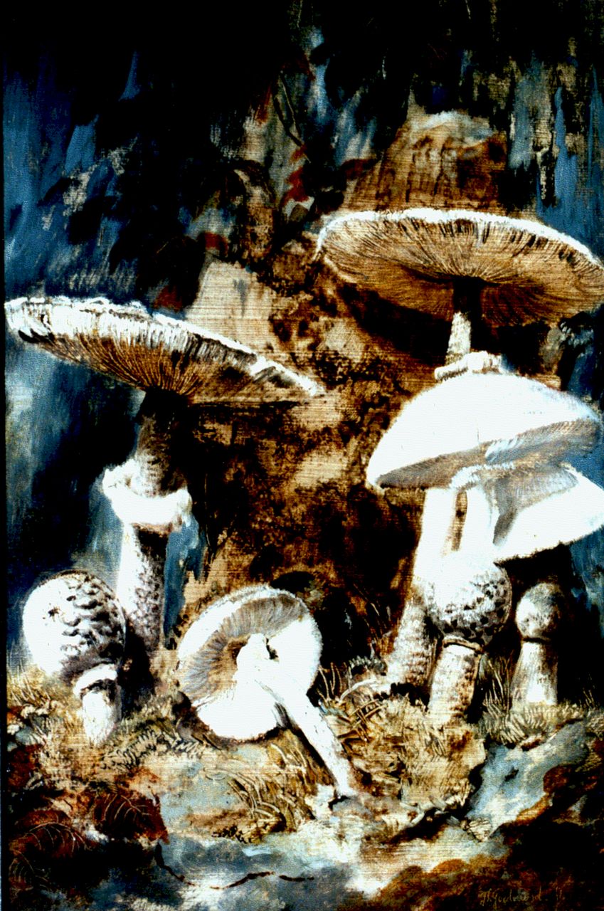 Goedvriend Th.F.  | Theodoor Franciscus 'Theo' Goedvriend, Mushrooms, oil on panel 41.9 x 28.5 cm, signed l.r.