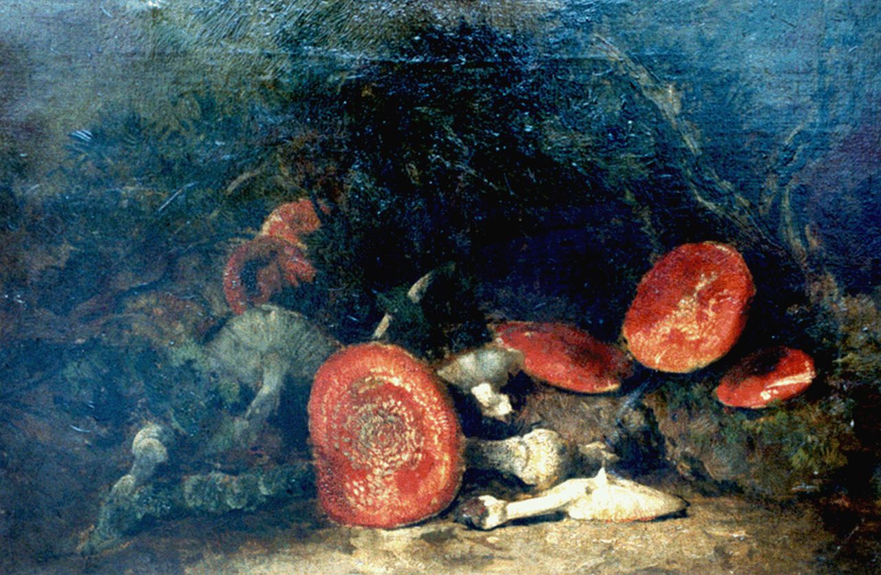 Goedvriend Th.F.  | Theodoor Franciscus 'Theo' Goedvriend, Red mushrooms, oil on canvas 85.6 x 55.6 cm, signed l.l.