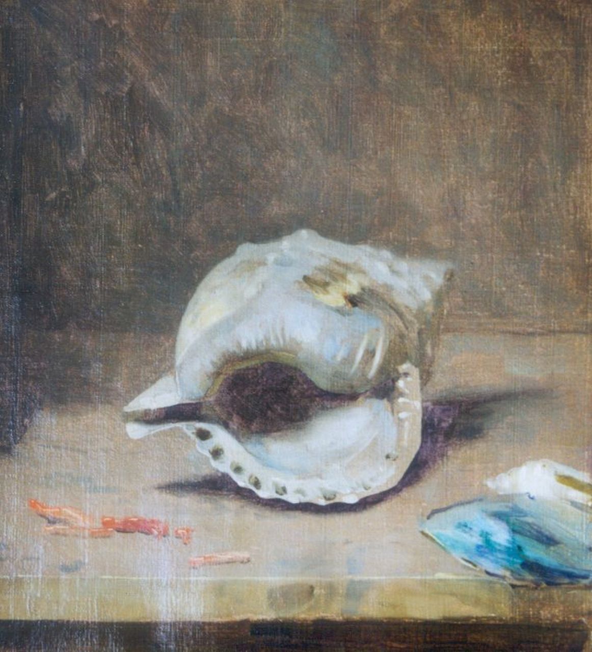Dijsselhof G.W.  | Gerrit Willem Dijsselhof, A shell, oil on canvas 31.7 x 28.5 cm, signed l.r.