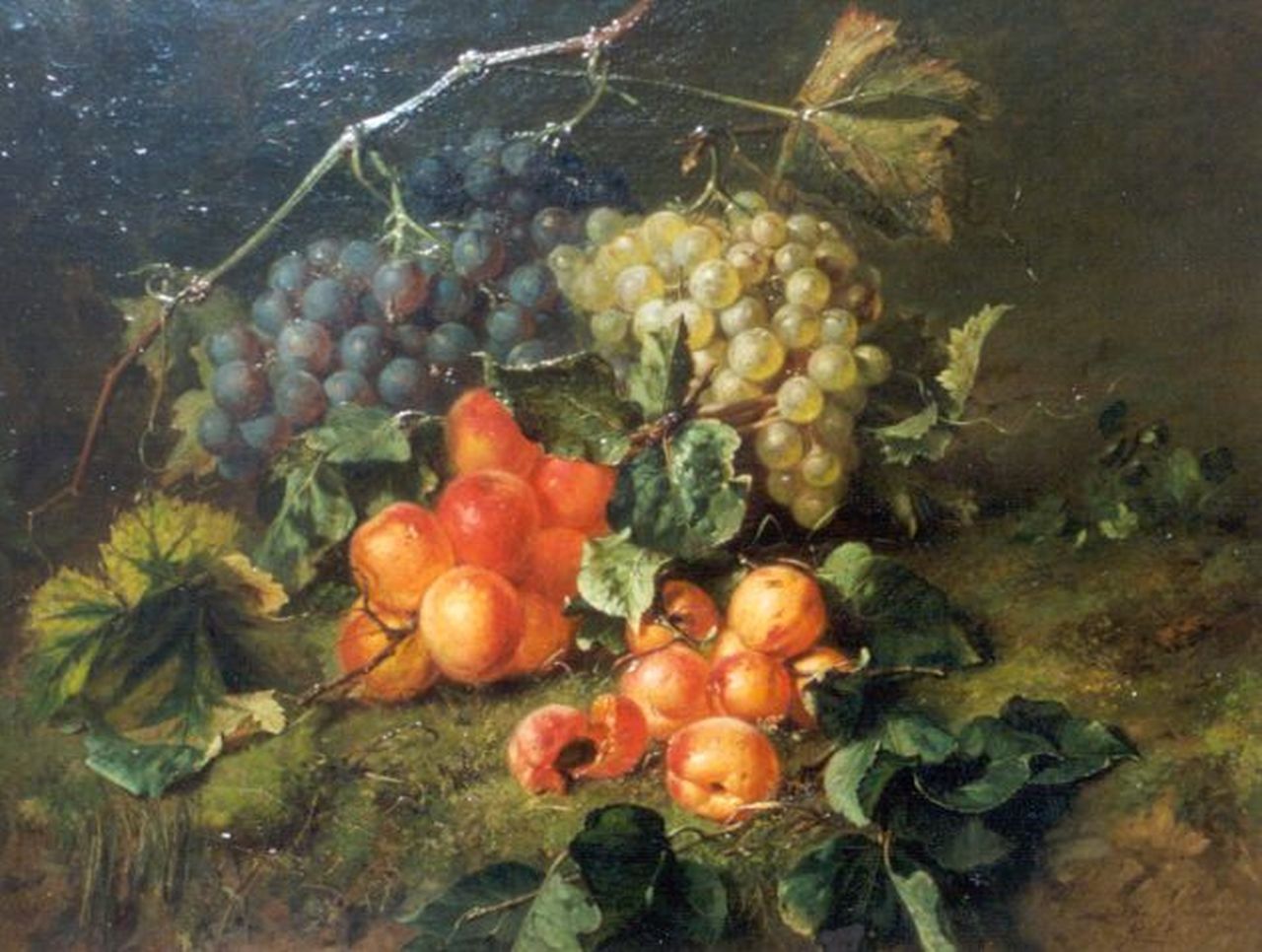 Haanen A.J.  | Adriana Johanna Haanen, A Still Life with Grapes and Abricots, oil on canvas 44.1 x 57.0 cm, signed l.r. and dated 1868