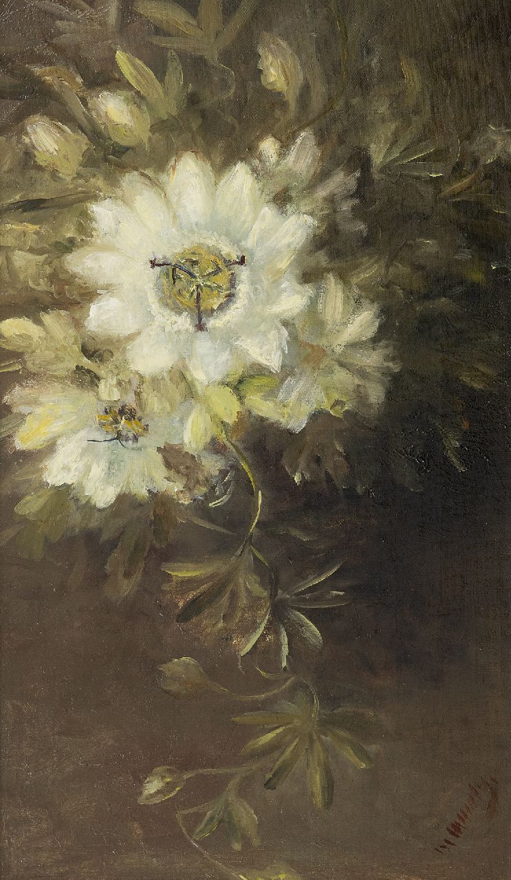 Wuytiers-Blaauw A.M.  | Anna Maria 'Marie' Wuytiers-Blaauw | Paintings offered for sale | Clematis, oil on canvas 51.4 x 30.2 cm, signed l.r.