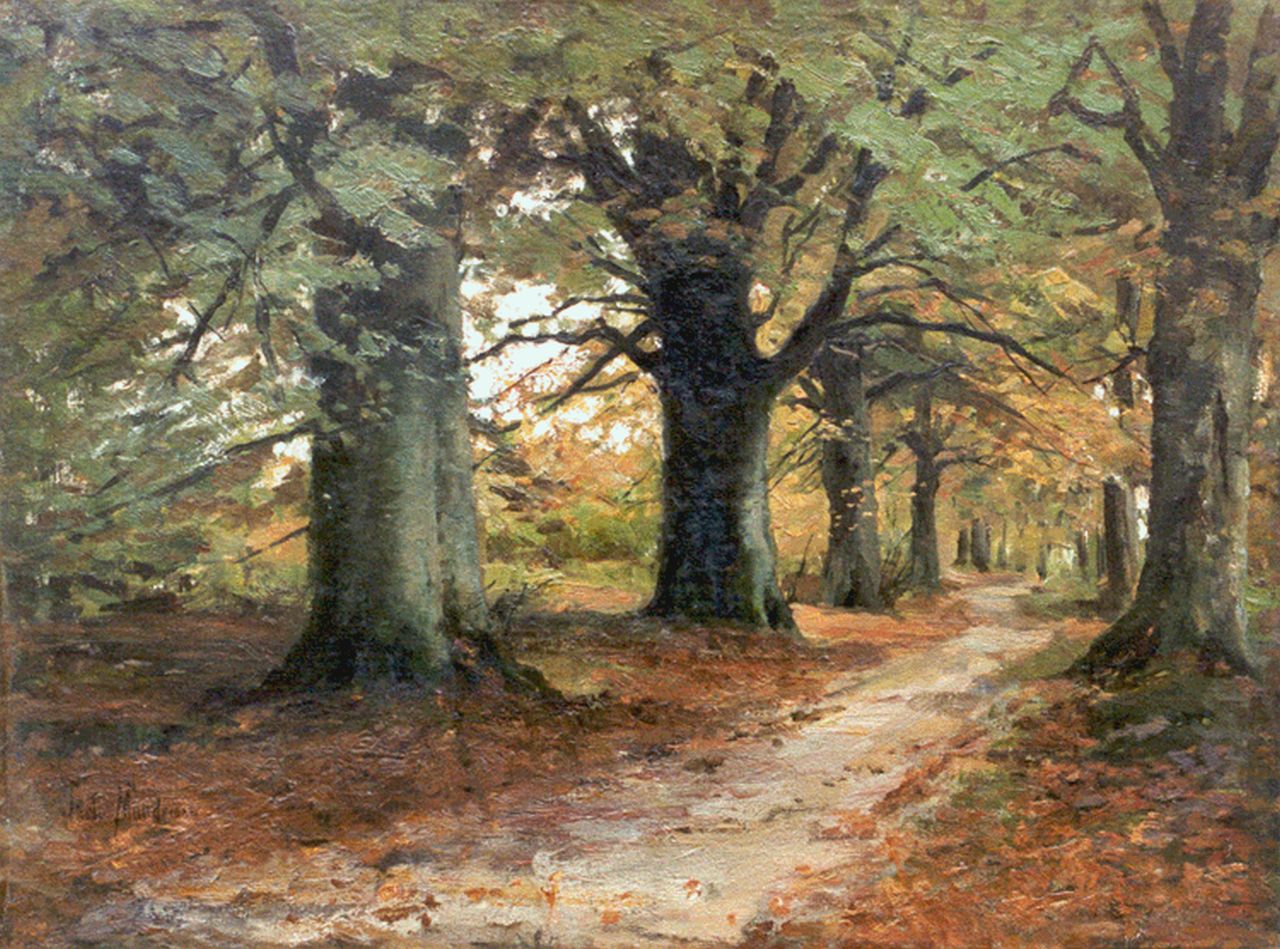 Mondriaan F.H.  | Frédéric Hendrik 'Frits' Mondriaan, A forest lane, oil on canvas laid down on painter's board 48.0 x 64.0 cm, signed l.l.