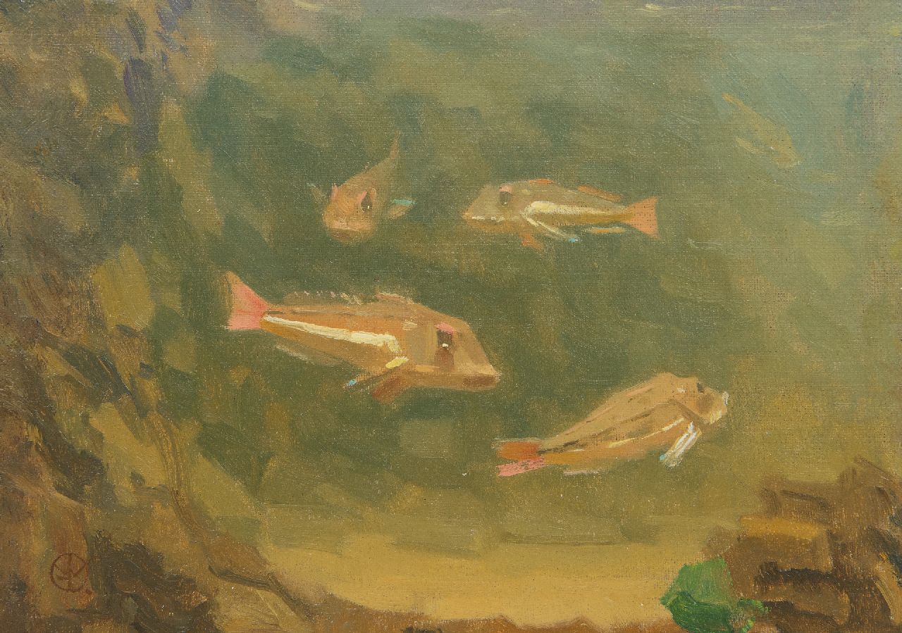 Dijsselhof G.W.  | Gerrit Willem Dijsselhof | Paintings offered for sale | Red gurnards in an aquarium, oil on canvas laid down on panel 18.5 x 24.5 cm, signed l.l. with monogram