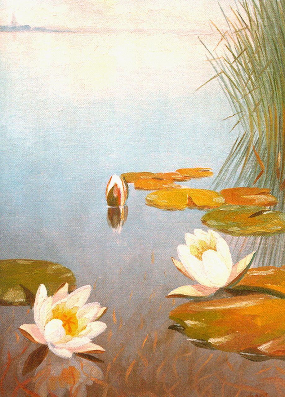 Smorenberg D.  | Dirk Smorenberg, Waterlilies, oil on canvas 30.0 x 20.0 cm, signed l.r.