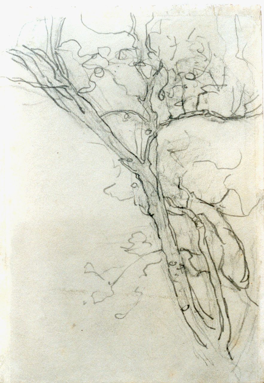 Mondriaan P.C.  | Pieter Cornelis 'Piet' Mondriaan, A branch, a study, pencil on paper 16.8 x 11.7 cm, painted circa 1905