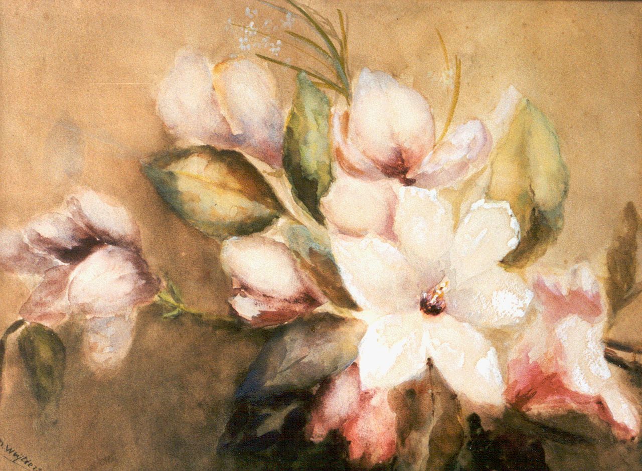 Wuytiers-Blaauw A.M.  | Anna Maria 'Marie' Wuytiers-Blaauw, Magnolia, watercolour and gouache on paper 39.5 x 54.0 cm, signed l.l.