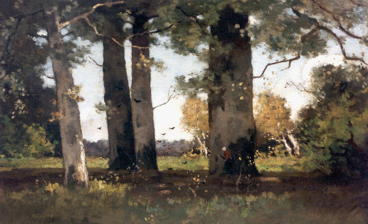 Bock T.E.A. de | Théophile Emile Achille de Bock, Beech wood by Renkum, oil on canvas 50.0 x 75.7 cm, signed l.r.