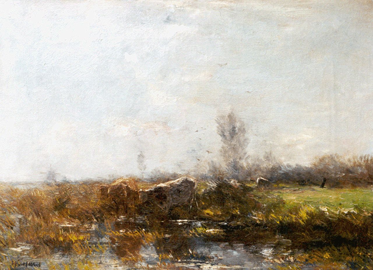 Maris W.  | Willem Maris, Cows near a stream, oil on canvas 32.5 x 43.8 cm, signed l.l.
