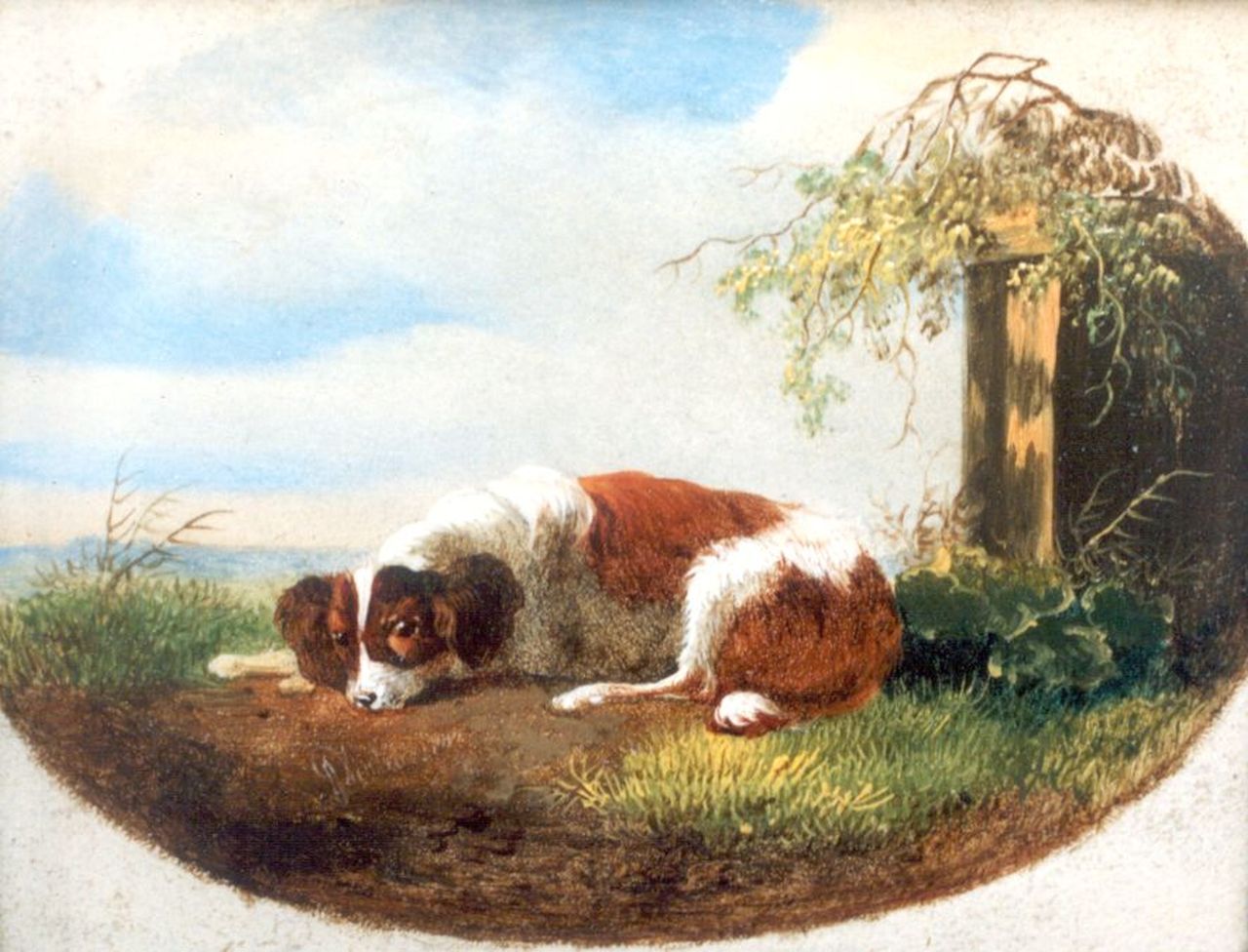 Verhoesen A.  | Albertus Verhoesen, A resting dog, oil on panel 8.8 x 11.1 cm, signed l.l.