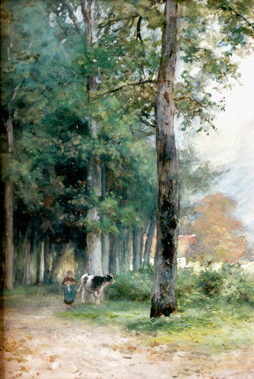 Schipperus P.A.  | Pieter Adrianus 'Piet' Schipperus, A drover with a cow, watercolour on paper 34.5 x 23.5 cm, signed l.r.