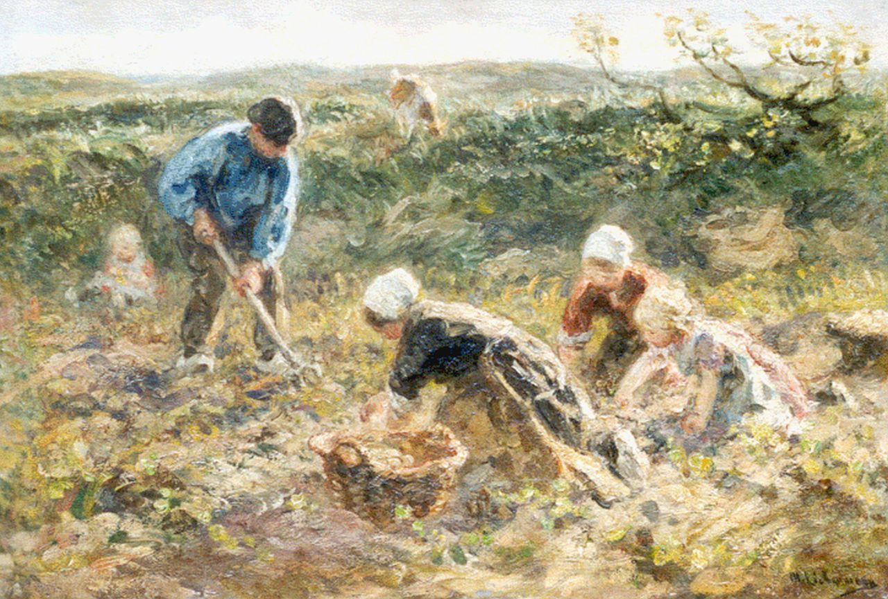 Zoetelief Tromp J.  | Johannes 'Jan' Zoetelief Tromp, Digging up potatoes, oil on canvas 34.3 x 50.2 cm