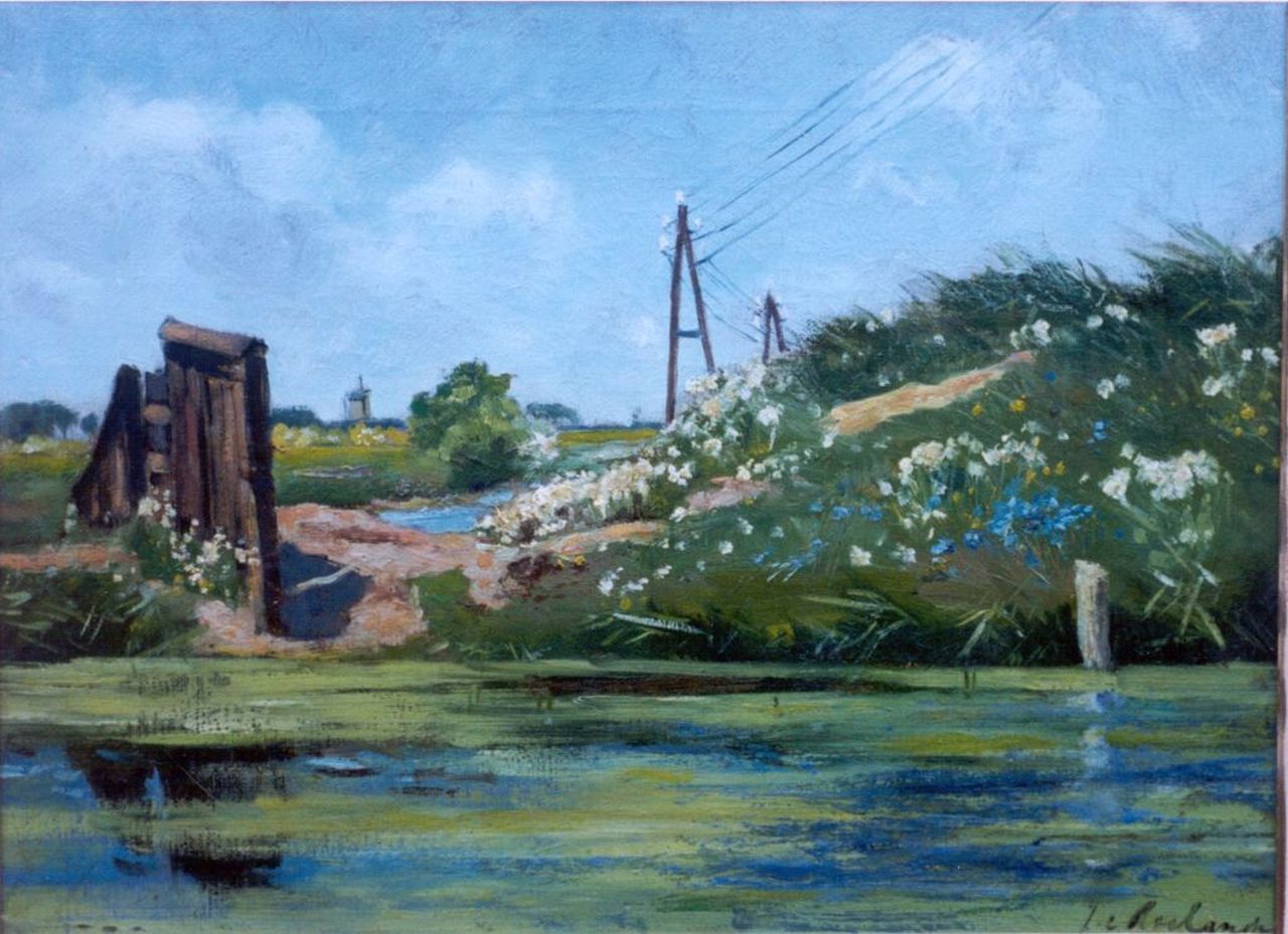 Roelandse J.C.  | Johannes Cornelis Roelandse, A riverbank in summer, oil on canvas 30.5 x 40.5 cm, signed l.r.