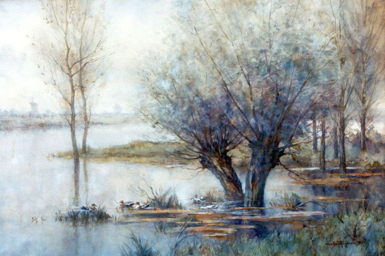 Rhijnnen J. van | Johannes 'Jan' van Rhijnnen, Ducks in a pond, watercolour on paper 35.0 x 53.0 cm, signed l.r.