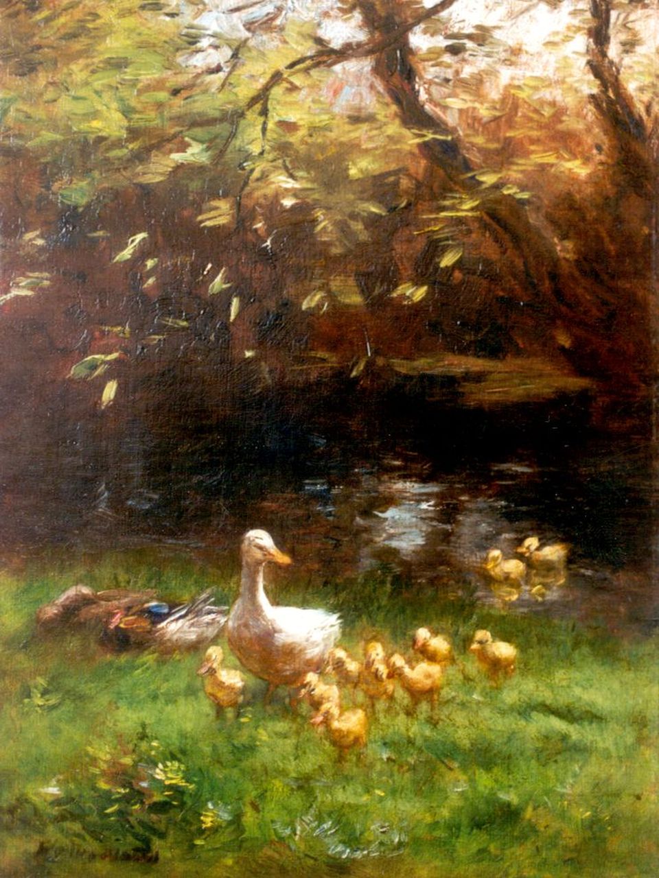 Maris W.  | Willem Maris, Duck with ducklings on the riverbank, oil on canvas 47.7 x 36.0 cm, signed l.l.