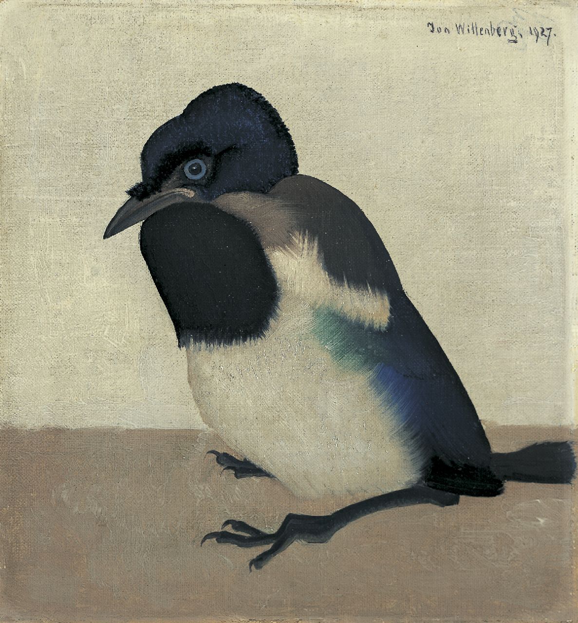 Wittenberg J.H.W.  | 'Jan' Hendrik Willem Wittenberg, A young Magpie, oil on canvas laid down on panel 17.0 x 16.0 cm, signed u.r. and dated 1927