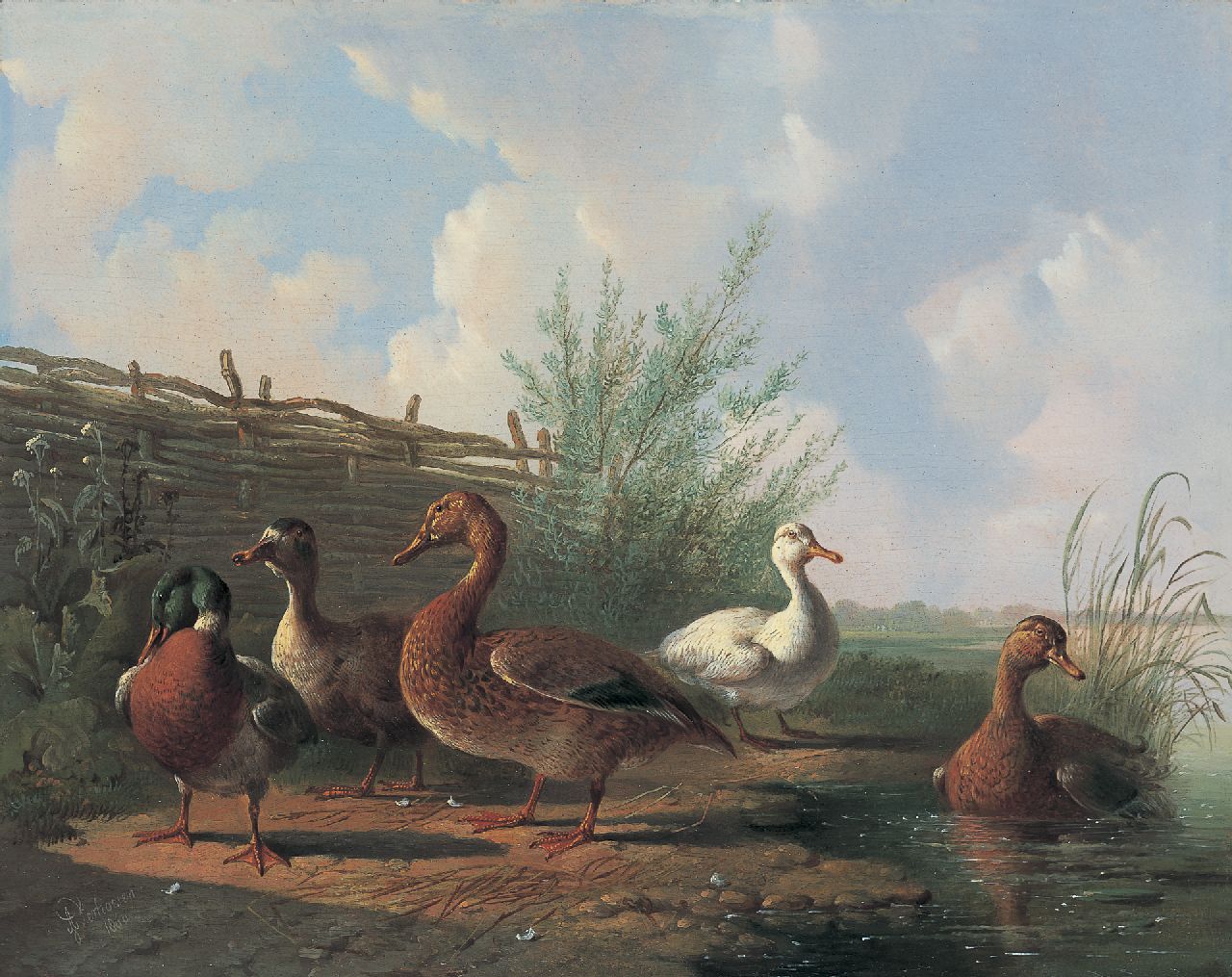 Verhoesen A.  | Albertus Verhoesen, Ducks on the riverbank, oil on panel 27.0 x 34.1 cm, signed l.l. and dated 1860