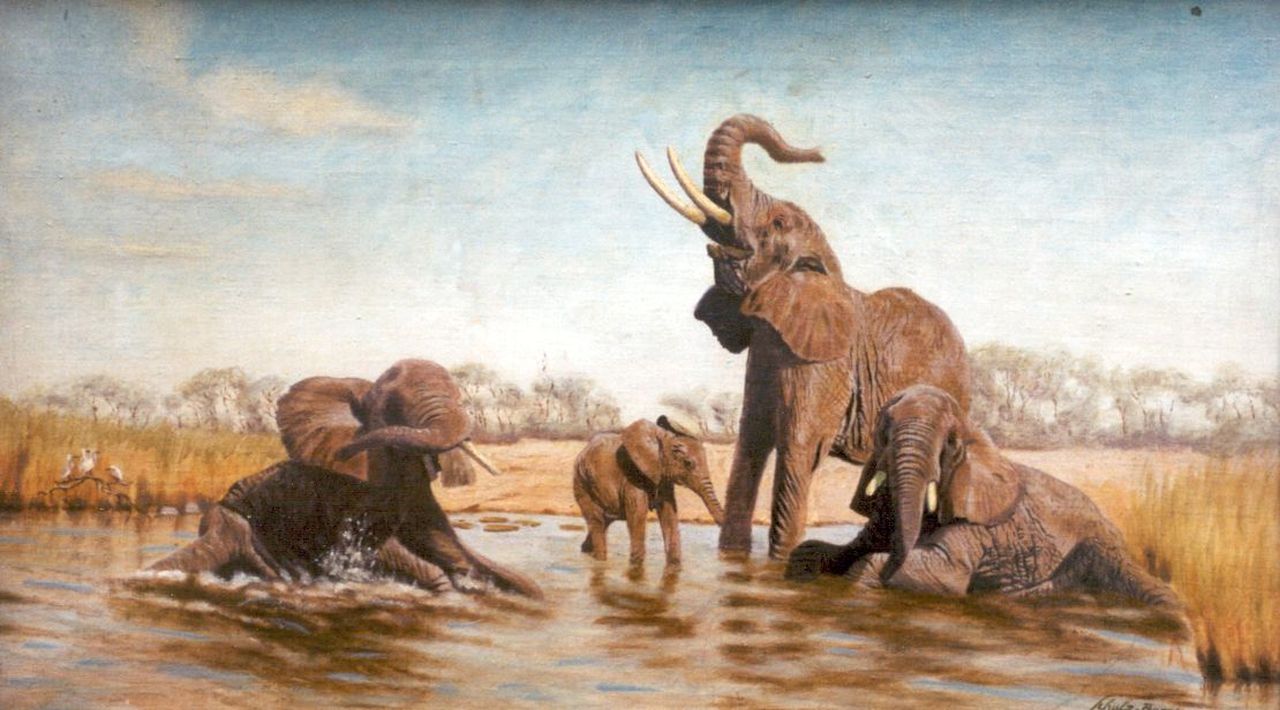 Schulz-Borek R.  | Rudolf Schulz-Borek, Elephants, oil on canvas 37.5 x 64.8 cm, signed l.r.