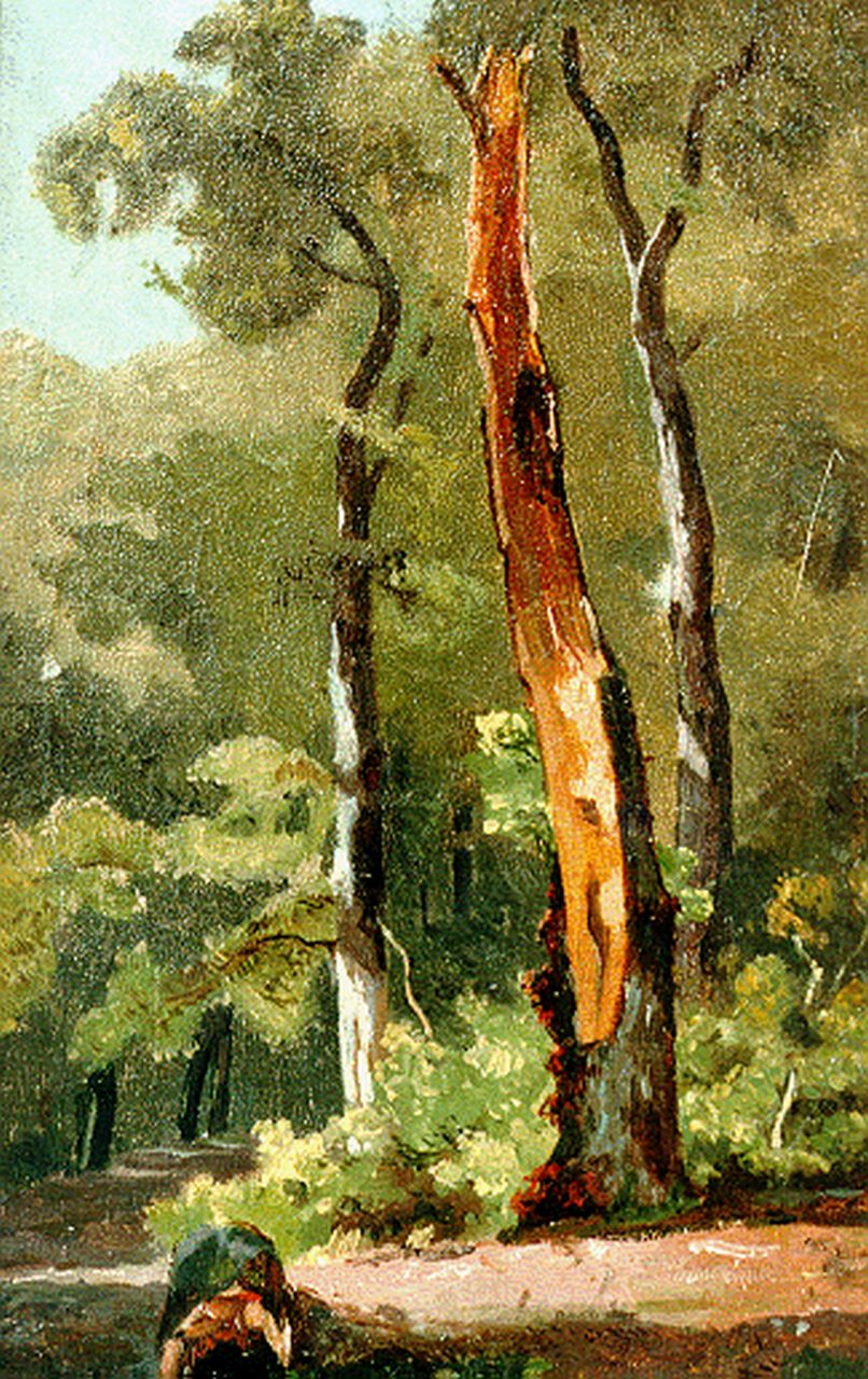 Borselen J.W. van | Jan Willem van Borselen, Study of trees, oil on canvas laid down on panel 29.1 x 18.4 cm
