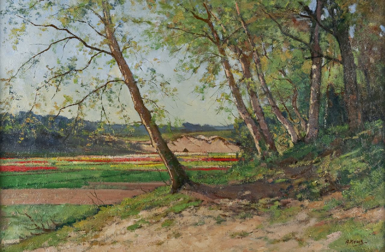 Keus A.  | Adriaan Keus, Bulb fields, oil on canvas 54.0 x 81.2 cm, signed l.r.