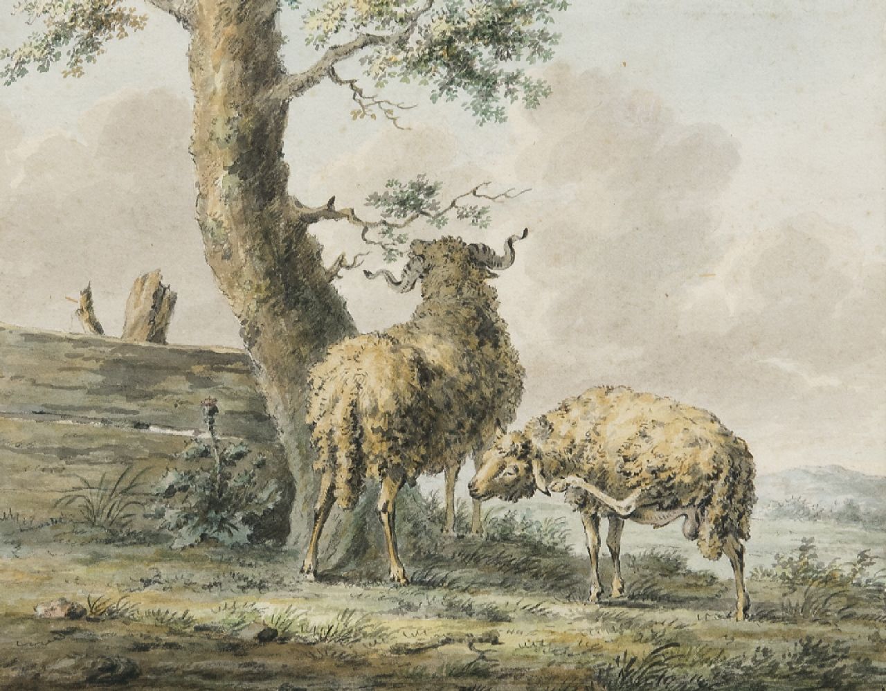 Knoll F.C.  | Franciscus Cornelis Knoll | Watercolours and drawings offered for sale | Two rams, pencil and watercolour on paper 16.0 x 20.0 cm