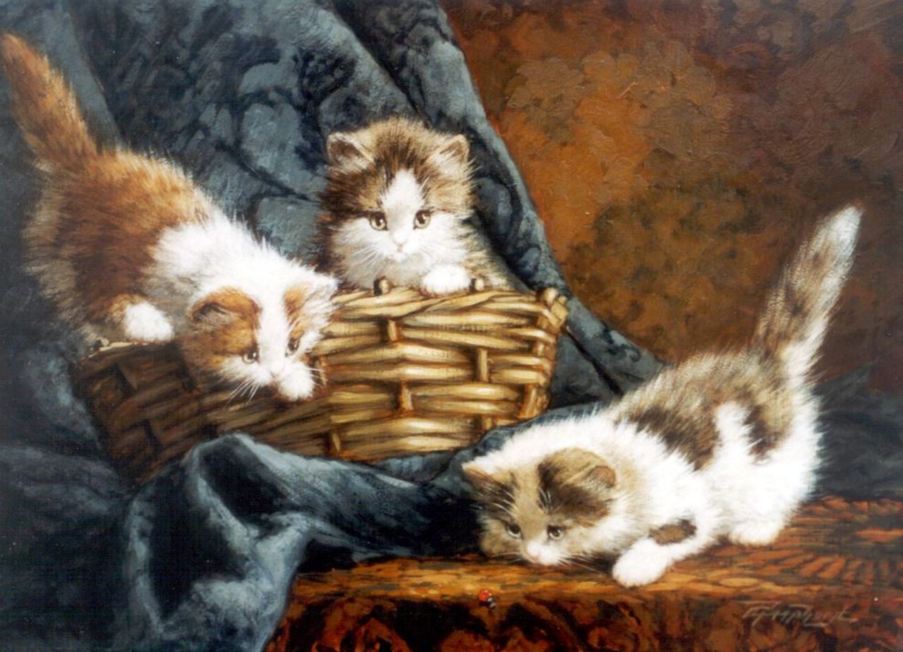 Raaphorst C.  | Cornelis Raaphorst, Playful kittens, oil on canvas 30.2 x 40.4 cm, signed l.r.