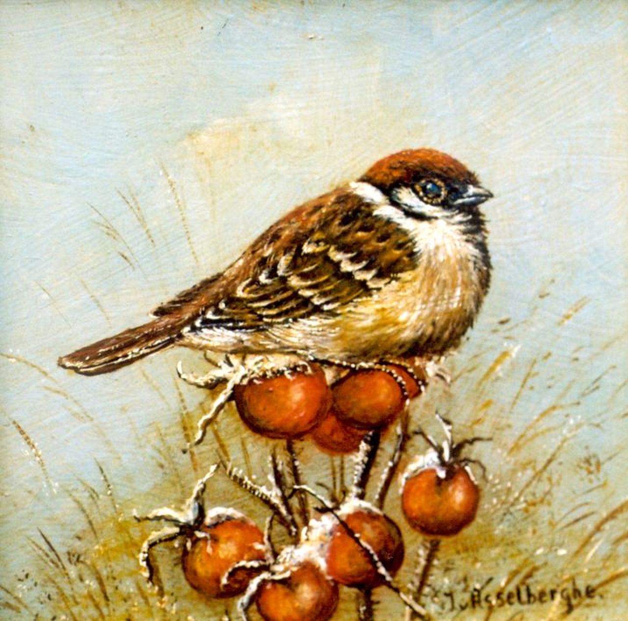 Asselberghe J. van | van Asselberghe, A Tree sparrow, oil on panel 13.0 x 13.0 cm, signed l.r.