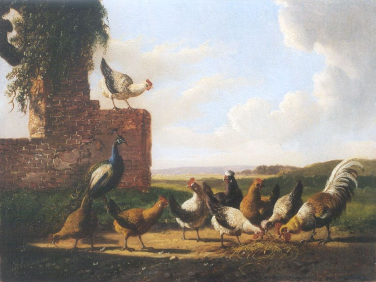 Verhoesen A.  | Albertus Verhoesen, Poultry and a peacock by a ruin, oil on panel 18.1 x 23.8 cm, signed l.l. and dated 1874