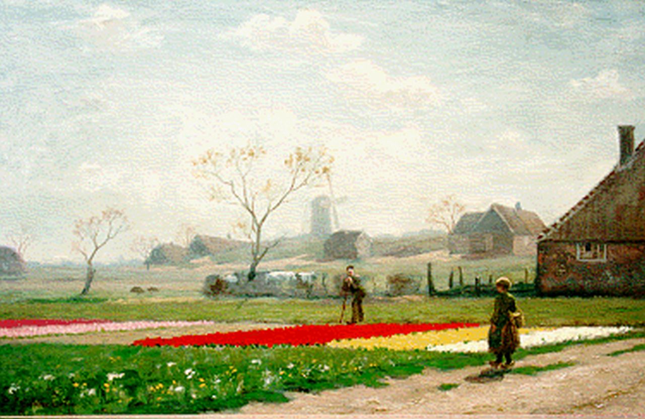 Gildemeester A.  | Anna Gildemeester, A bulb field, oil on canvas 46.0 x 72.0 cm, signed l.l.