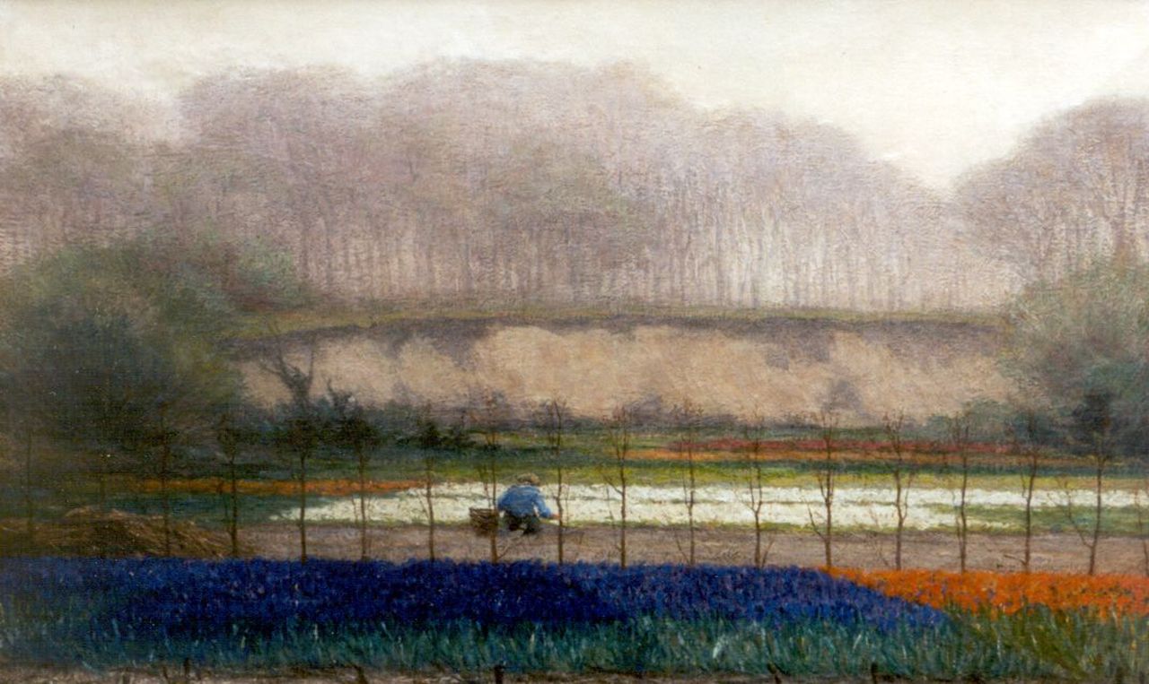 Bleckmann W.C.C.  | Wilhelm Christiaan Constant Bleckmann, Bulb fields, oil on canvas 53.5 x 83.5 cm, signed l.r.