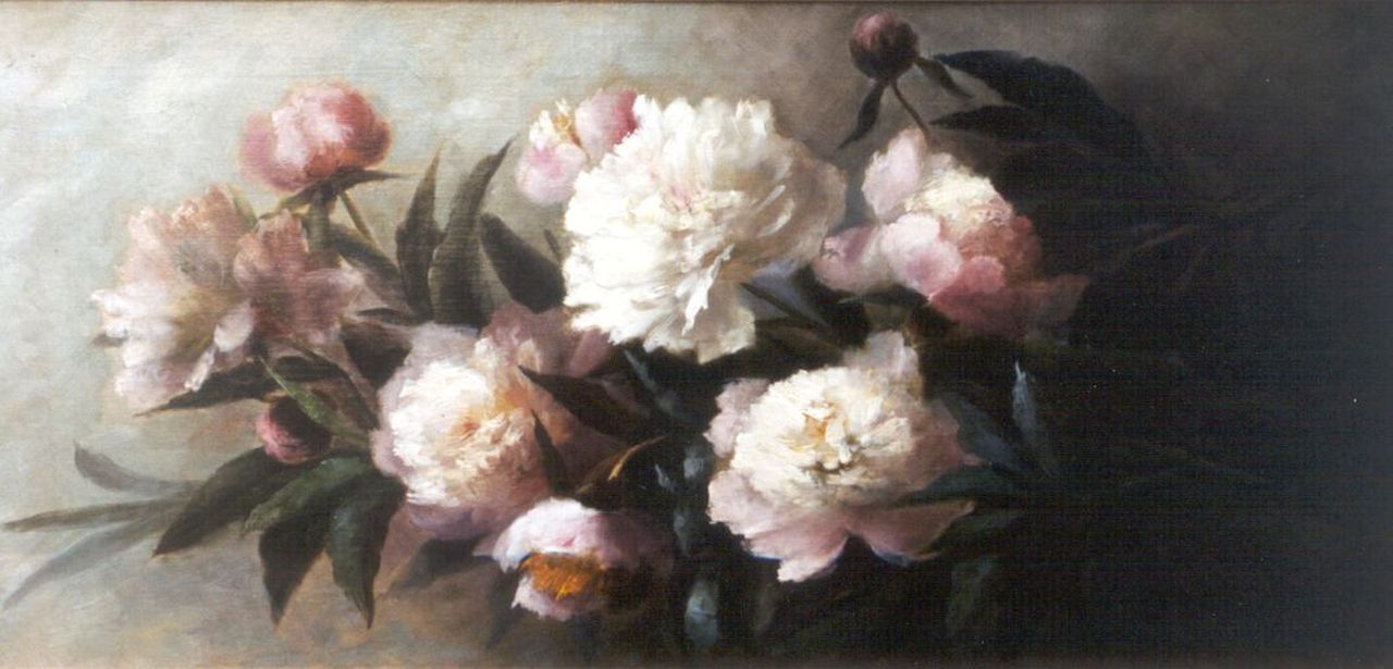 Stenis-Breuer C.F. van | 'Clara' Francina van Stenis-Breuer, Still life with peonies, oil on canvas 38.4 x 78.3 cm