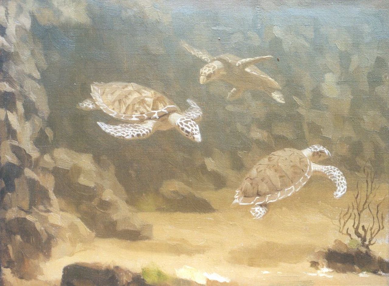 Dijsselhof G.W.  | Gerrit Willem Dijsselhof, Turtles, oil on canvas 20.7 x 26.7 cm