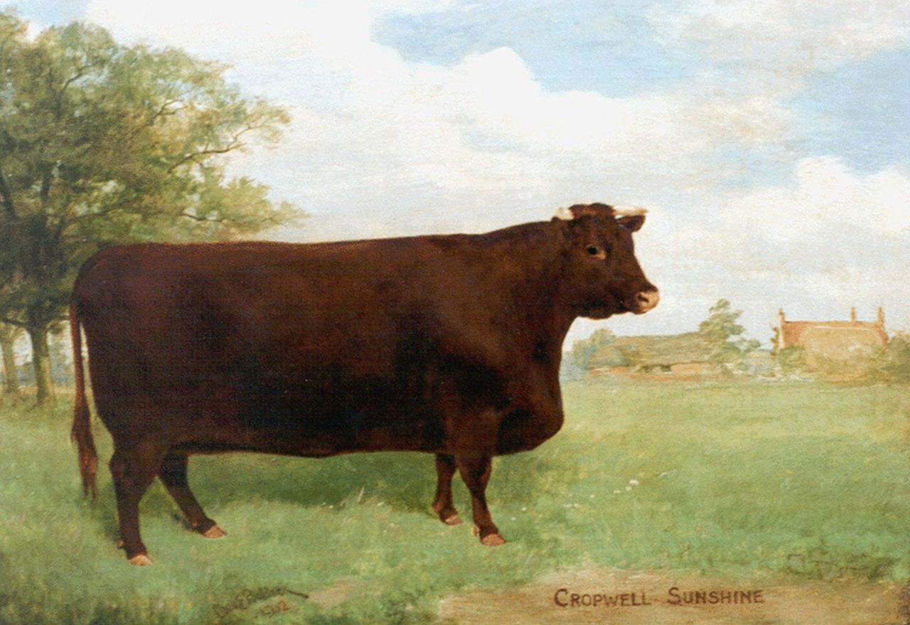Baldock C.E.M.  | Charles Edwin M. Baldock, Cropwell Sunshine, portrait of a cow, oil on canvas 30.5 x 43.3 cm, signed l.l. and dated 1901