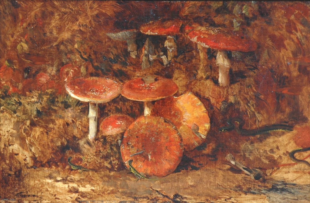 Goedvriend Th.F.  | Theodoor Franciscus 'Theo' Goedvriend, Fly agarics in the woods, oil on canvas 56.4 x 85.8 cm, signed l.l.