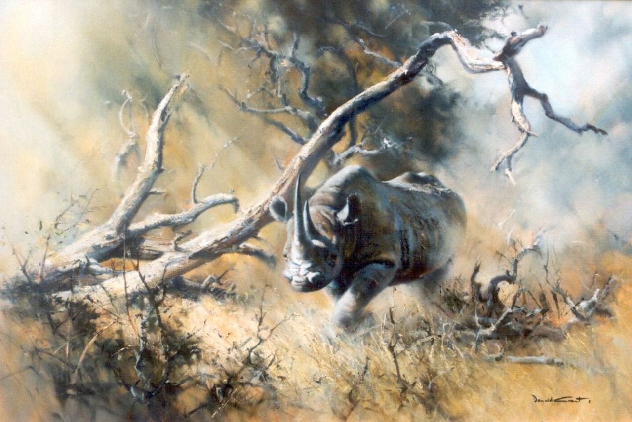 Grant D.  | Donald Grant, Rhino Charge, oil on canvas 70.0 x 106.0 cm, signed l.r.